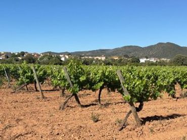 Terreno rustico in vendita a N/A