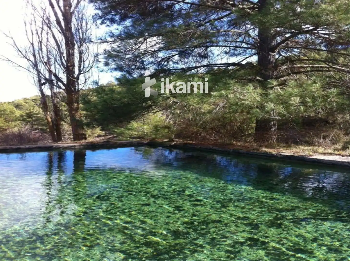 Swimming pool of Buildings for sale in Huéscar