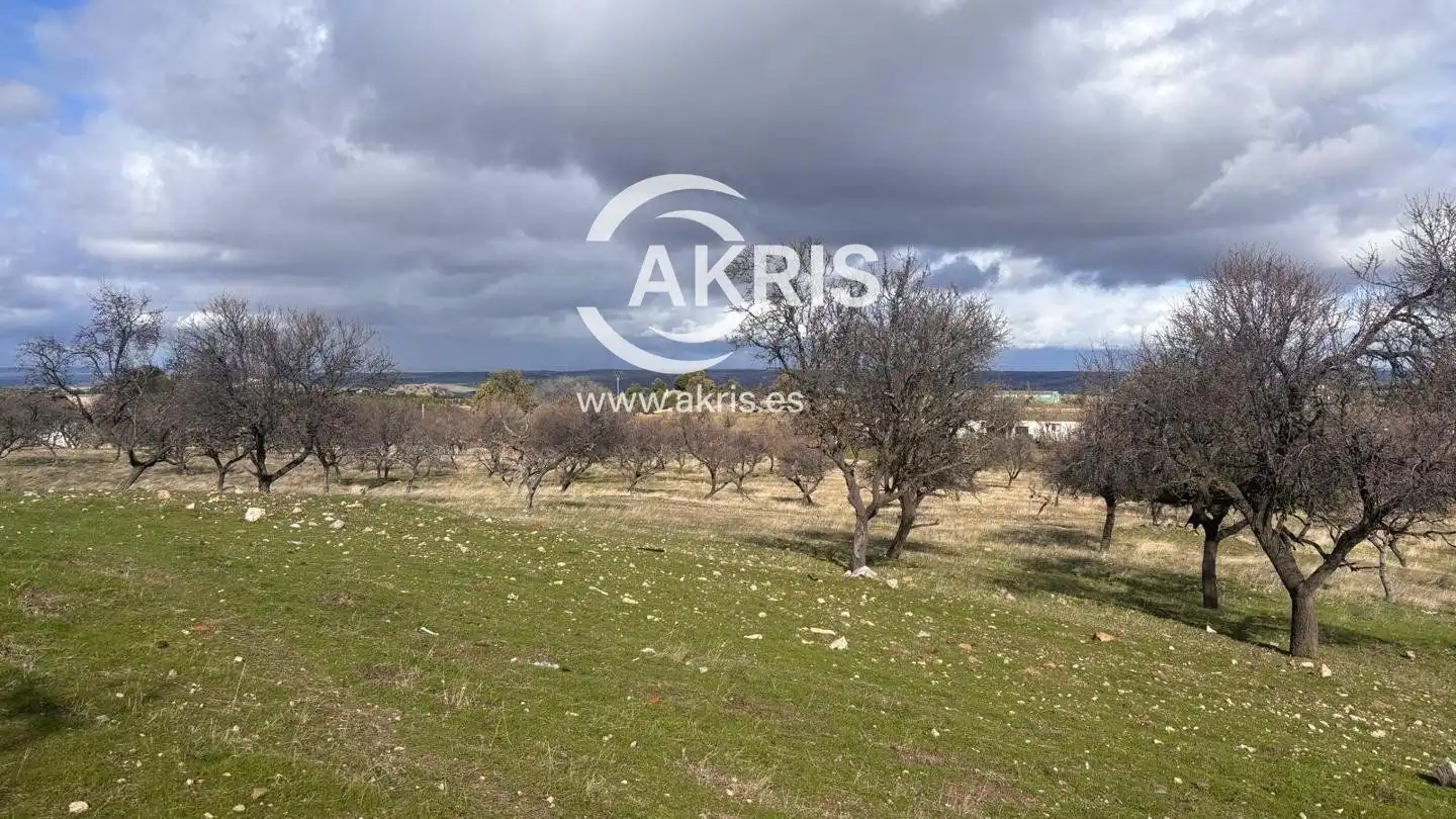 Terreno rustico in vendita a Arrabal Cerro Palos, imagen 7