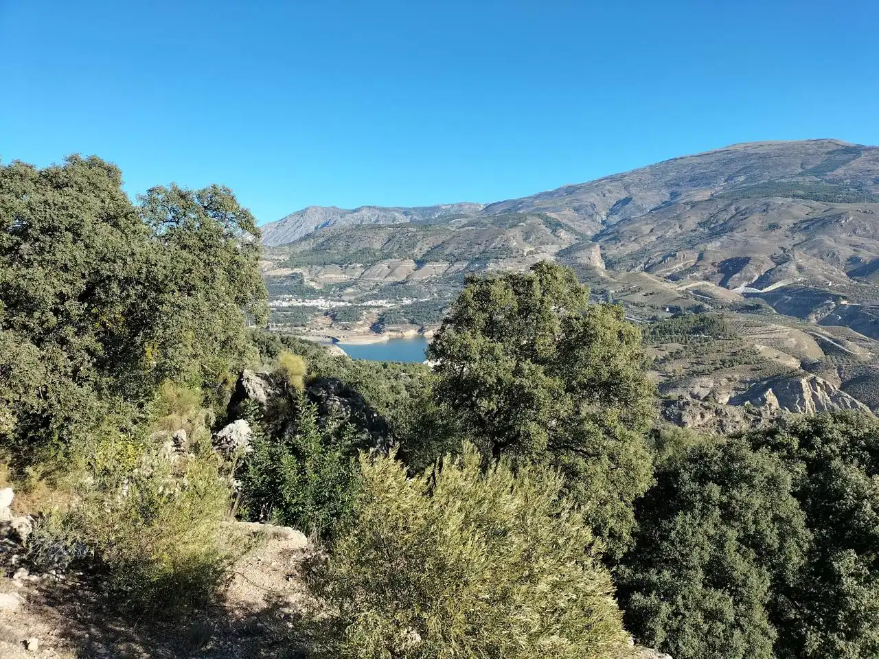 Vista exterior de Finca rústica en venda en El Pinar