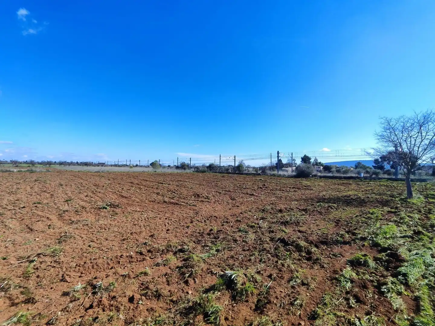 Terreny rústic en venda a Santa María del Camí