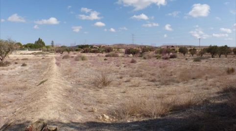 Photo 2 of Industrial land for sale in Street Mutxamel, Zona de - Mutxamel, Cami Sabateta, -1, La Huerta, Mutxamel
