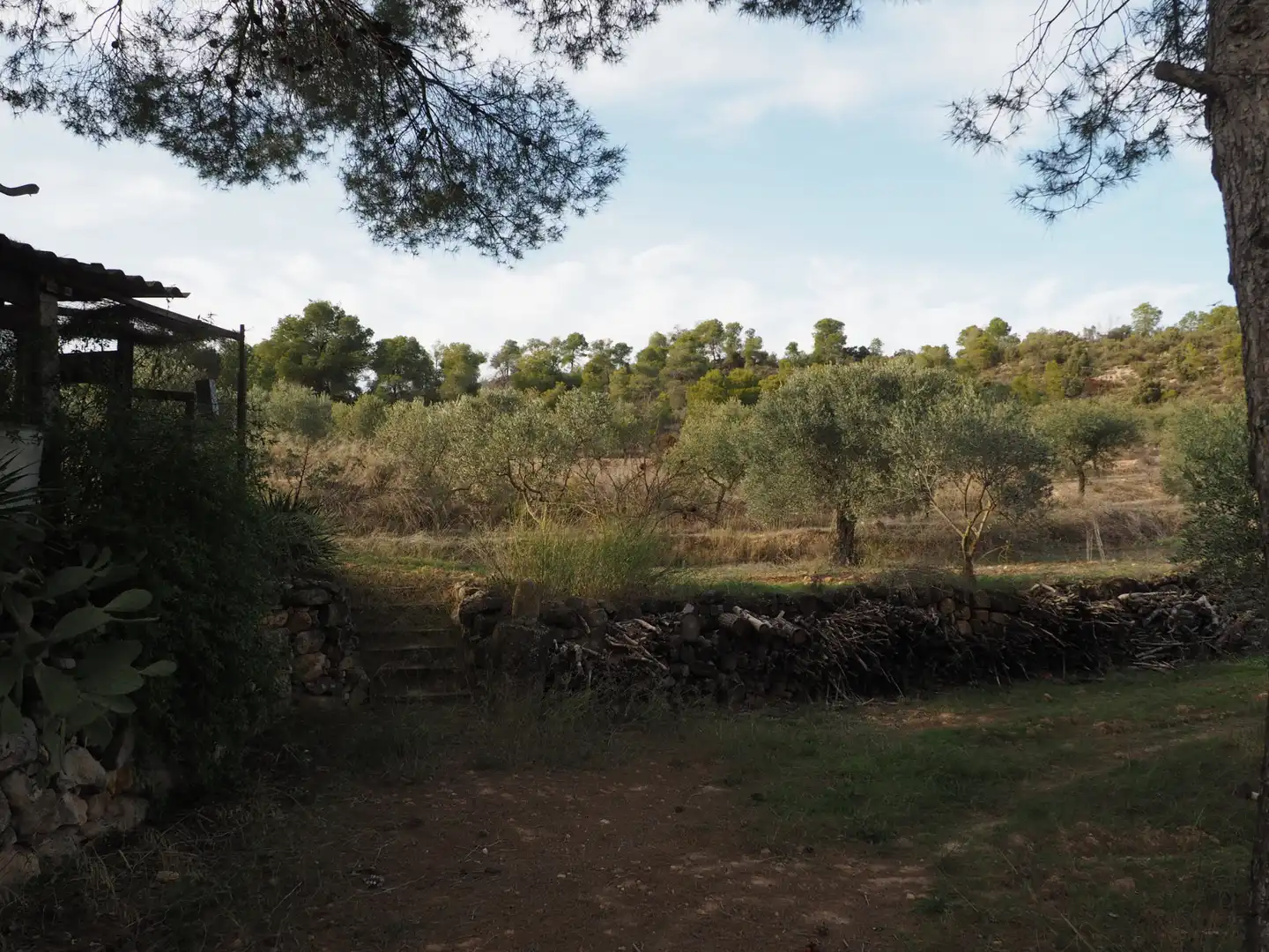 Terreno en venta en Flix