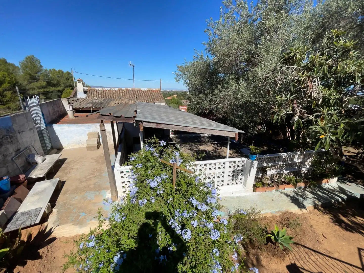 Jardín de Casa o chalet en venta en Alzira con Jardín privado, Terraza y Trastero