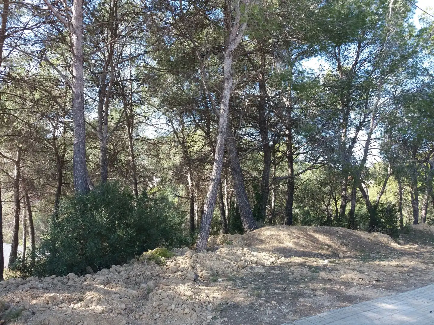 Grundstücke und Bauplätze zum Verkauf in Castellnou - Can Mir - Can Solà