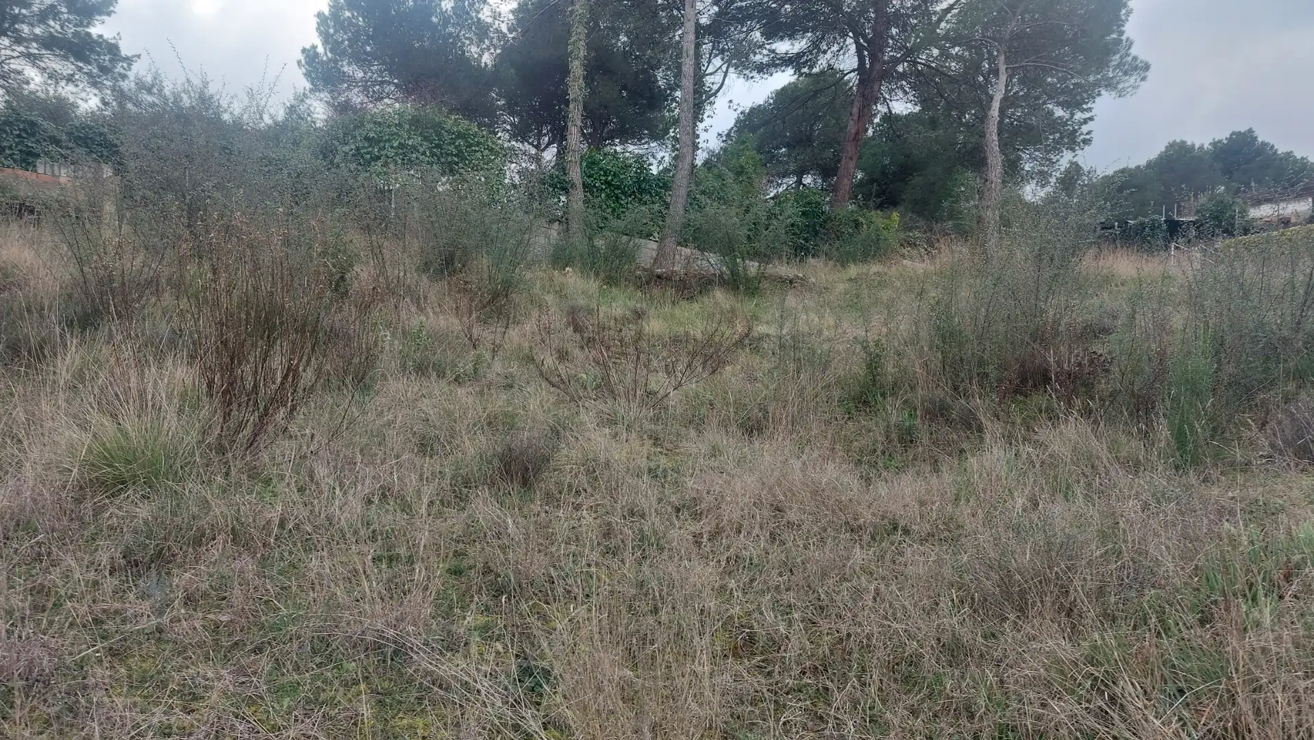 Residential land for sale in Carrer dels Avets, imagen 8