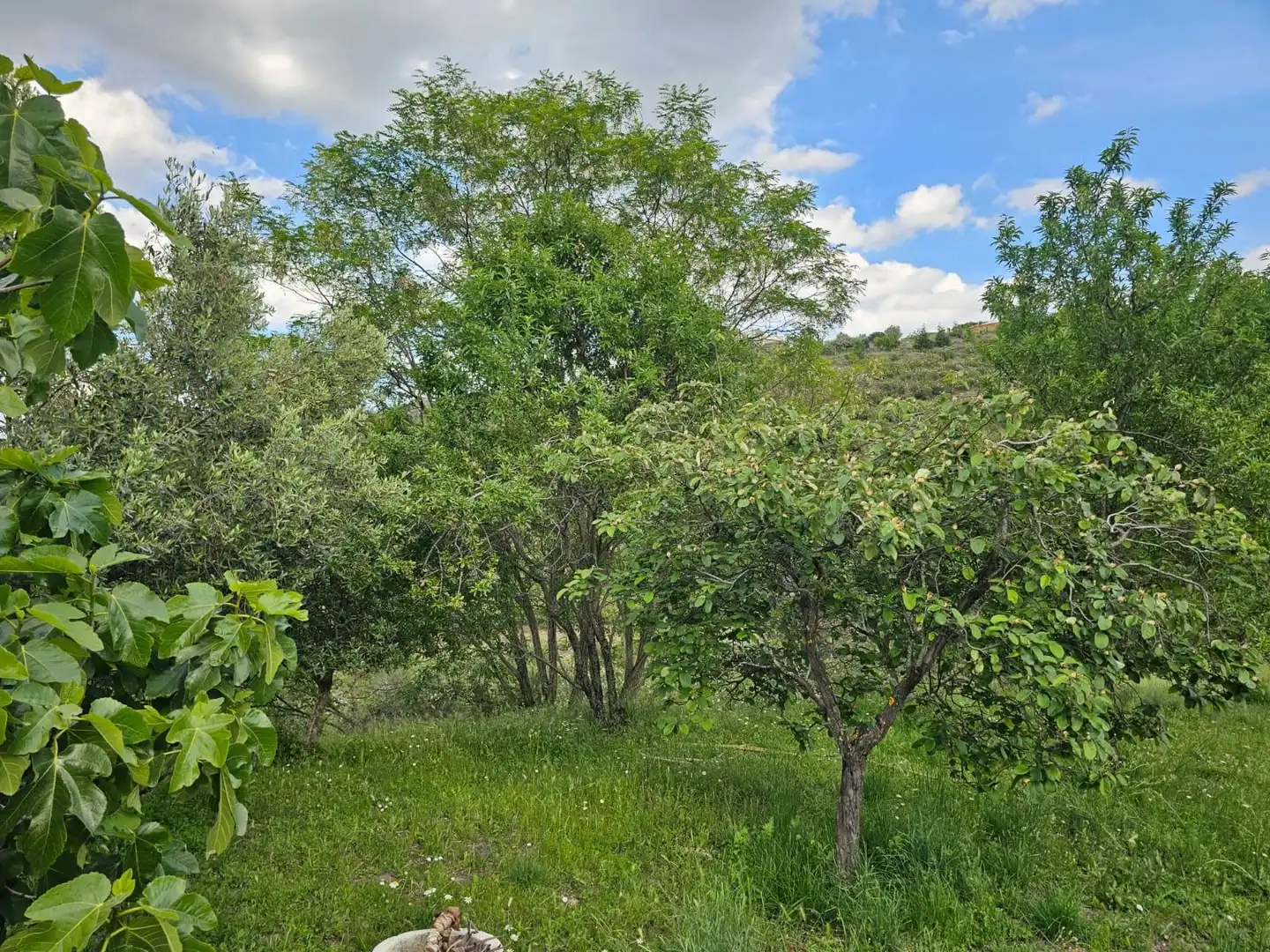 Houses for sale in Torremocha de Jarama  with Heating, Private garden and Terrace