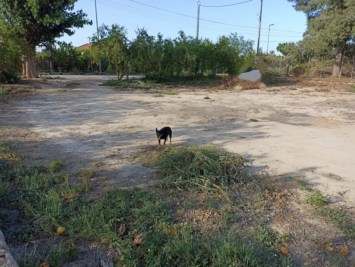Terrenys i solars en venda a Diseminado Camino Viejo Orihuela 54, imagen 6