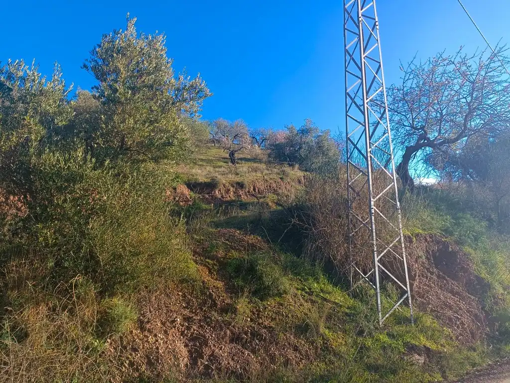 Terreno rústico en venta en Avenida Huerta De La, imagen 18