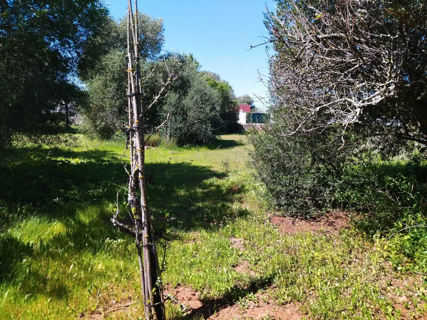 Casa rústica amb jardí en venda a N/A, imagen 13