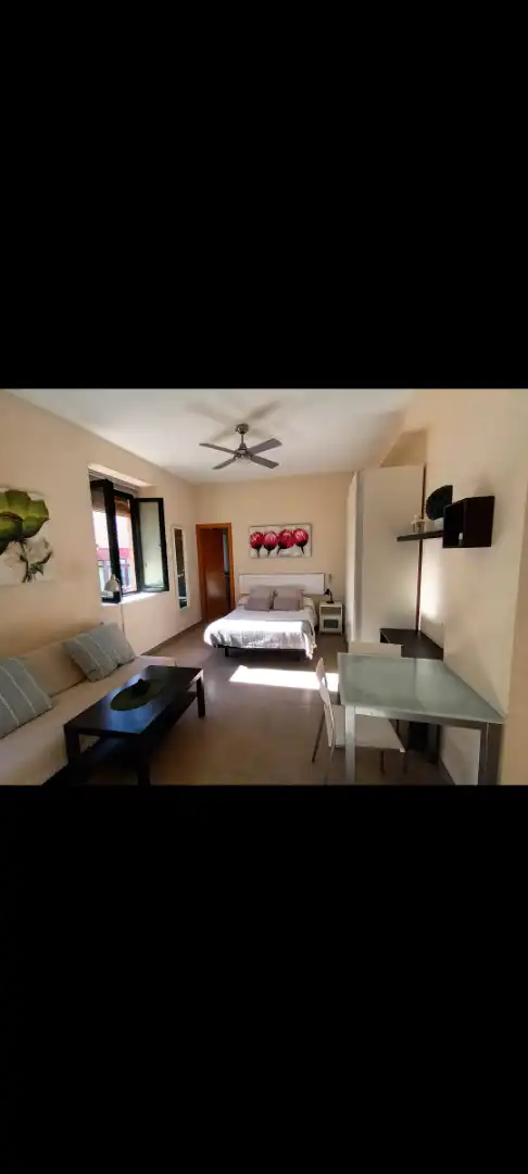 Wohnzimmer von Wohnung zur Miete in Málaga mit Möbliert