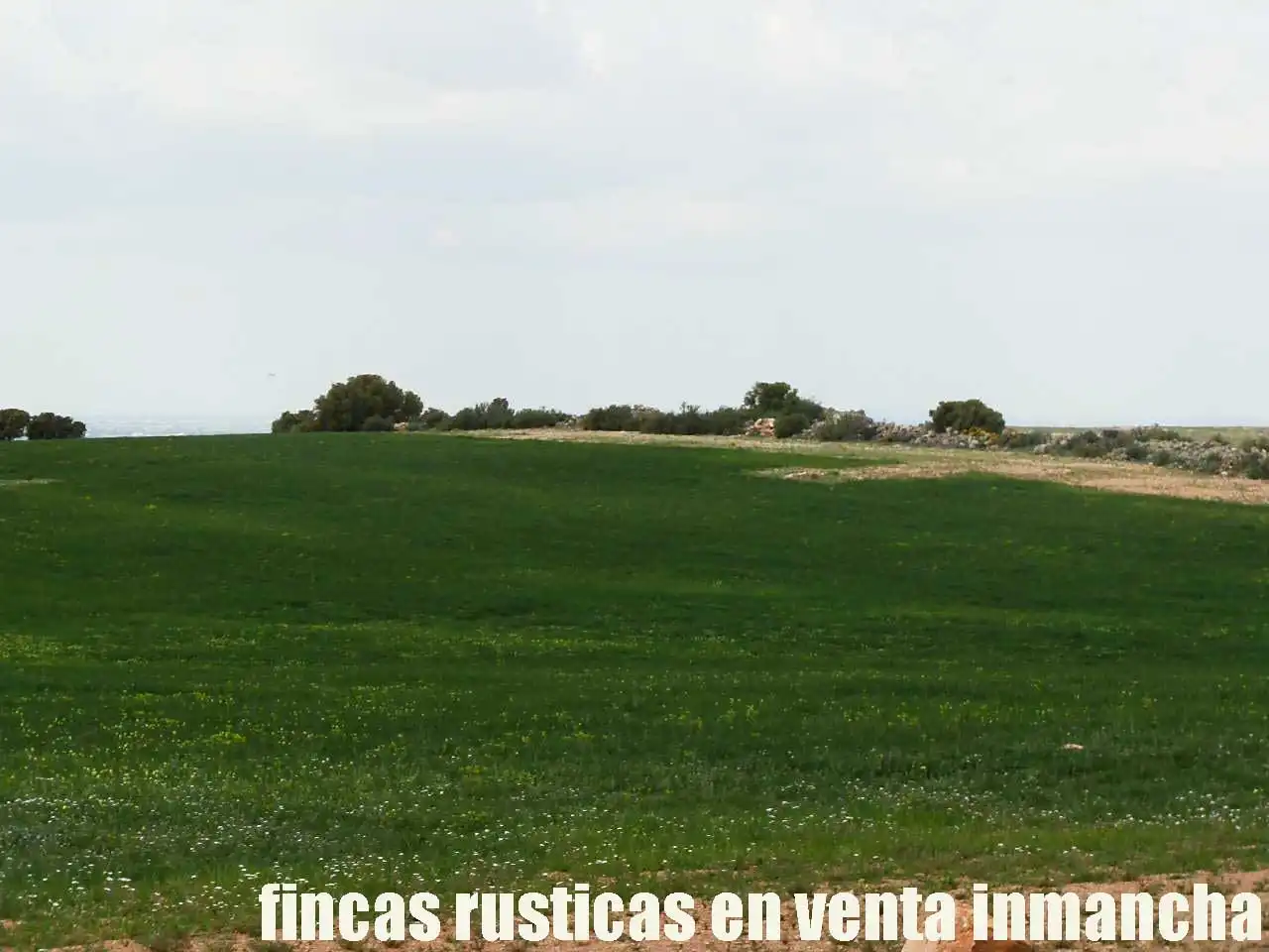 Terreno rustico in vendita a Ruidera, imagen 27