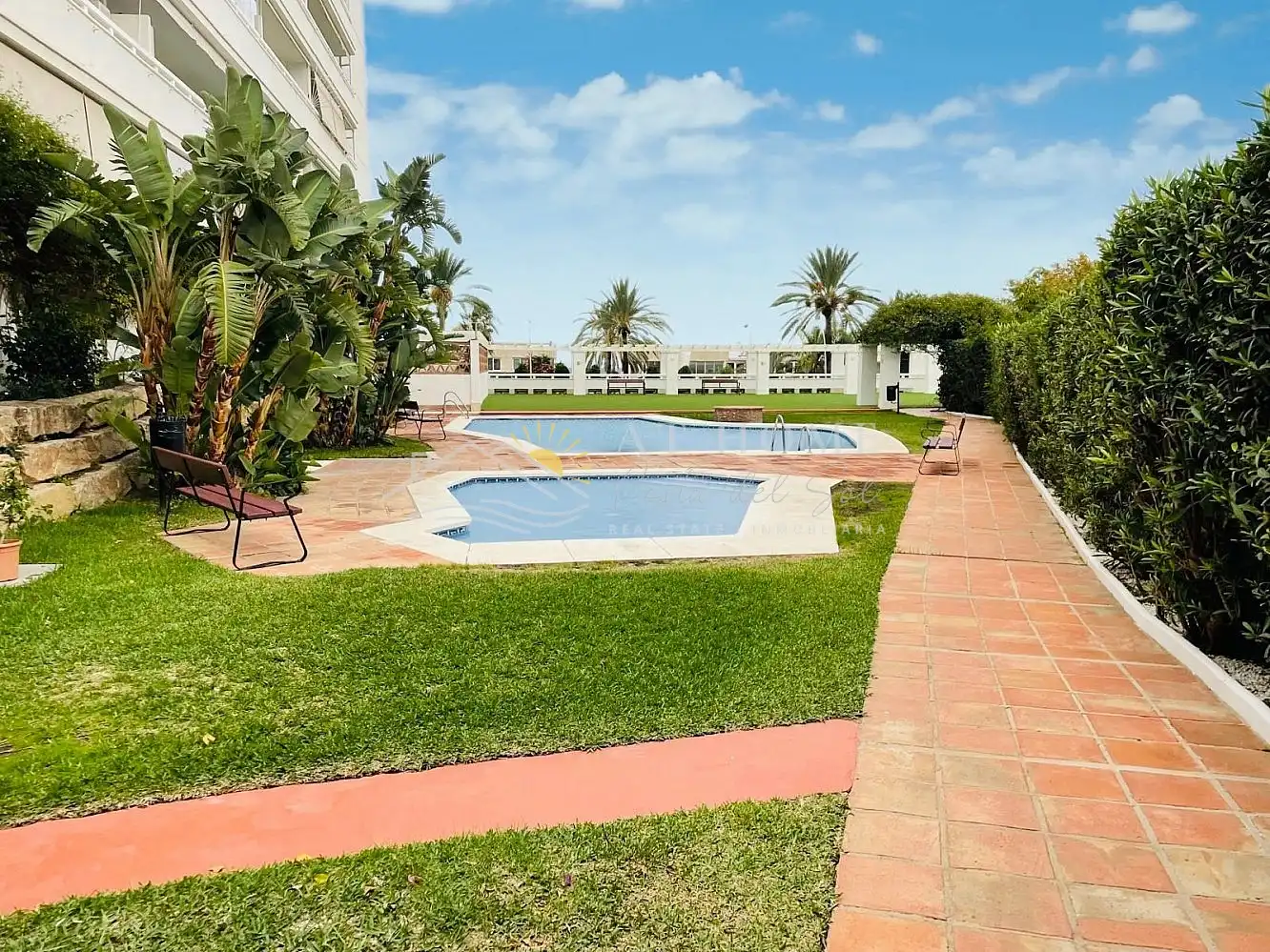 Swimming pool of Apartments for sale in Marbella  with Terrace