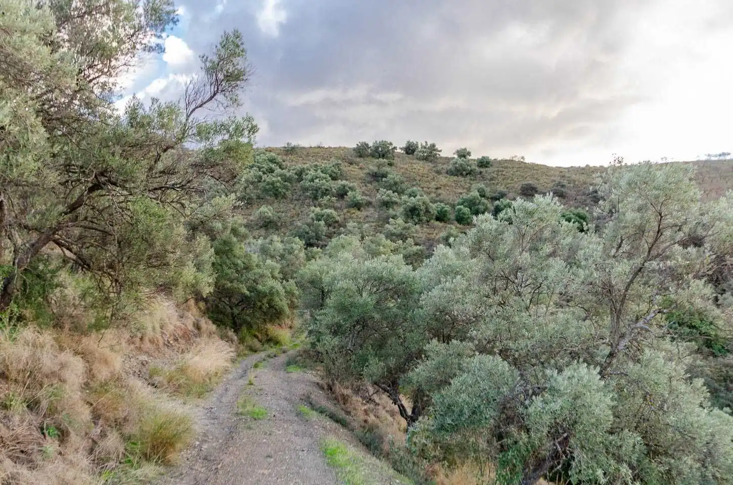 Terreno rustico in vendita a Salares, imagen 3
