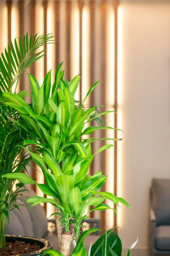 Apartamento en venta en Nueva Andalucía, imagen 48