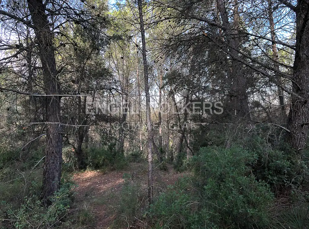 Fabrik Grundstücke zum Verkauf in Avinyonet del Penedès