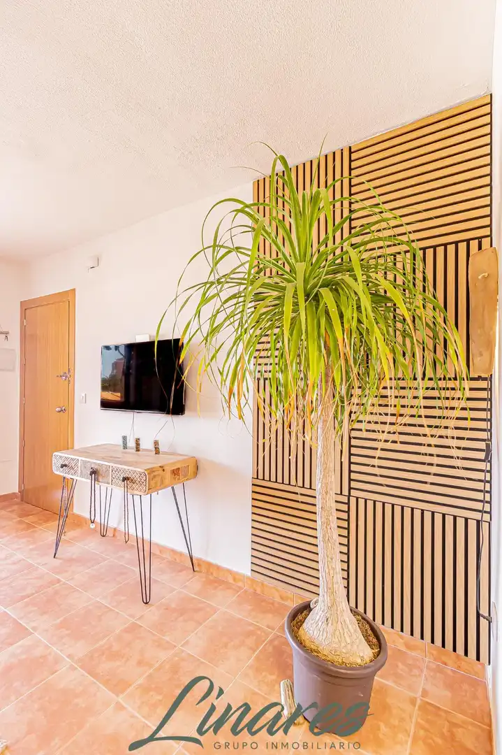 Sala d'estar de Apartament en venda en La Manga del Mar Menor amb Terrassa