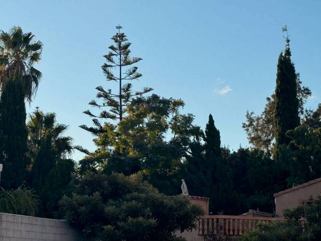 Casa-chalet en Venta en Carrer del Pou en Palmera