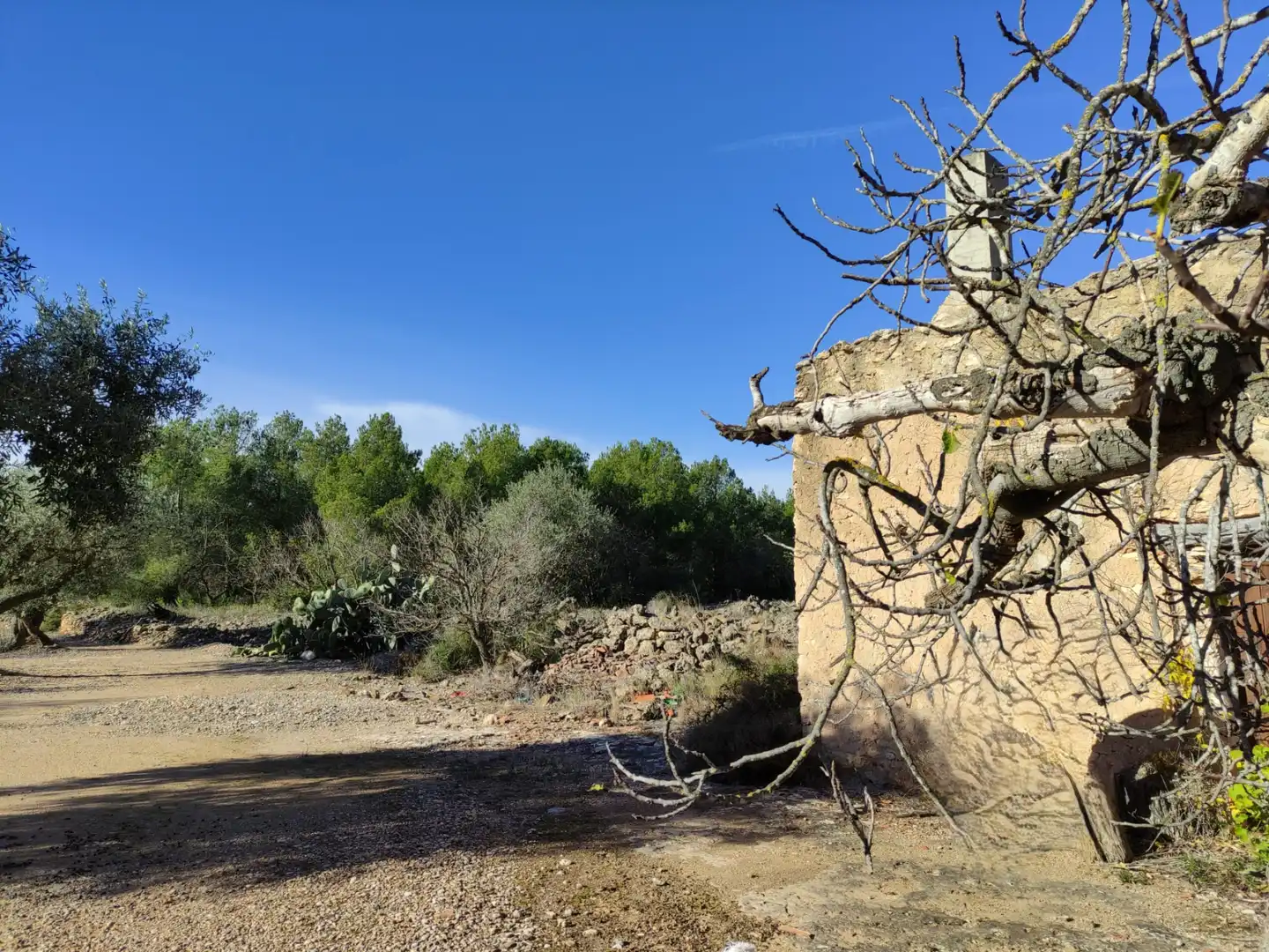 Terreno rustico in vendita a Carrer Verge de Gràcia, imagen 3