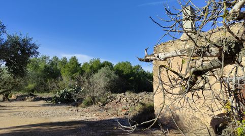 Finca en venta en Traiguera, imagen 3