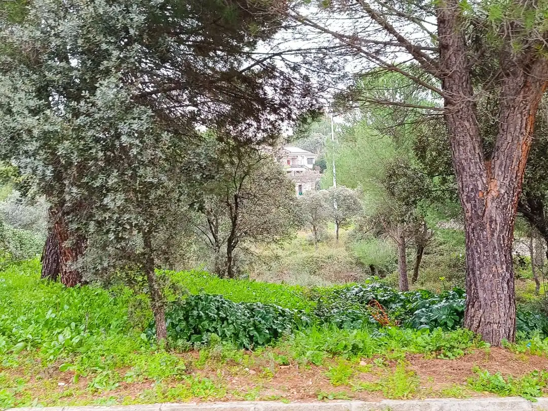 Residencial en venda en Villa del Prado, Madrid