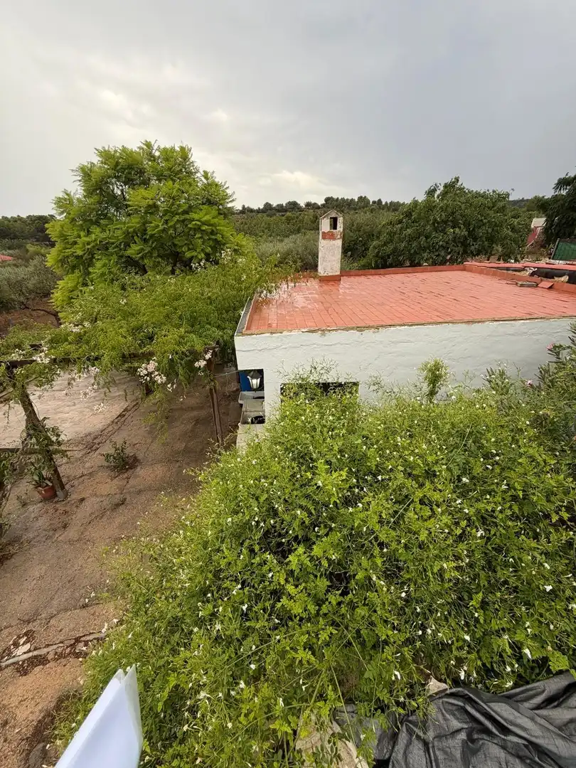 Maison rustique à vendre à Calle Calle Neptuno, imagen 62