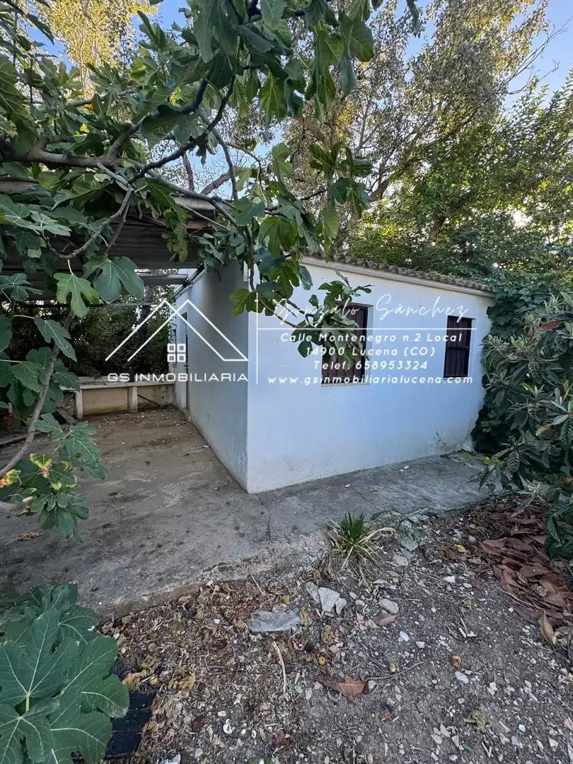 Casa rústica en venta en Cabra, imagen 10
