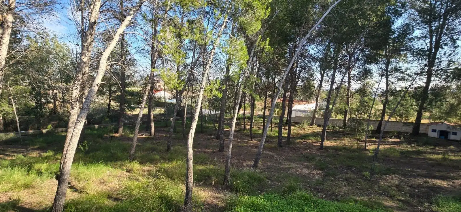 Casa adosada en venda en Chiva amb Jardí privat i Terrassa
