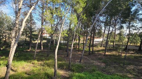 Foto 2 de Casa adosada en venta en Olimar - Carambolo - Atalaya de Levante, Chiva