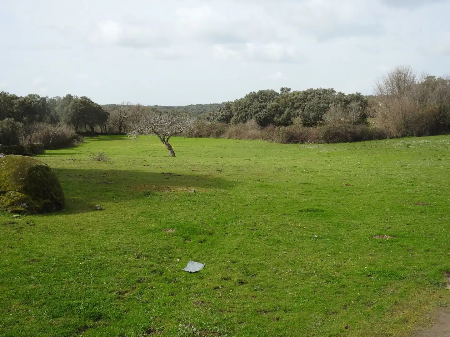 Terreni e lotti in vendita a Navamorcuende, imagen 12