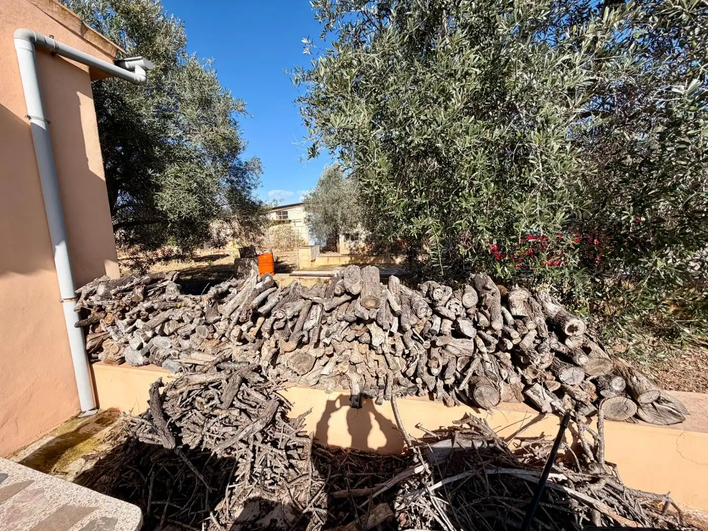 Garden of Country homes for sale in Llucmajor  with Private garden, Terrace and Alarm