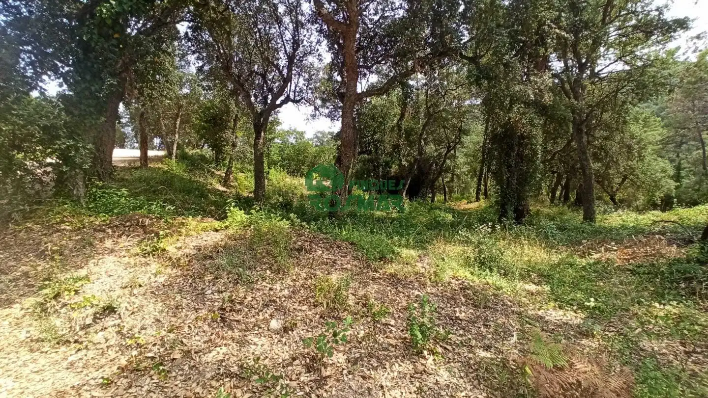 Terreny rústic en venda a Lloret Blau - La Creu de Lloret