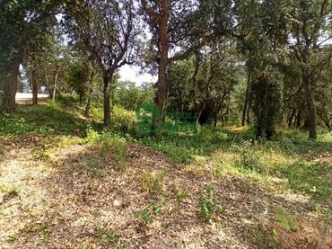 Terreno rustico in vendita a Lloret Blau - La Creu de Lloret