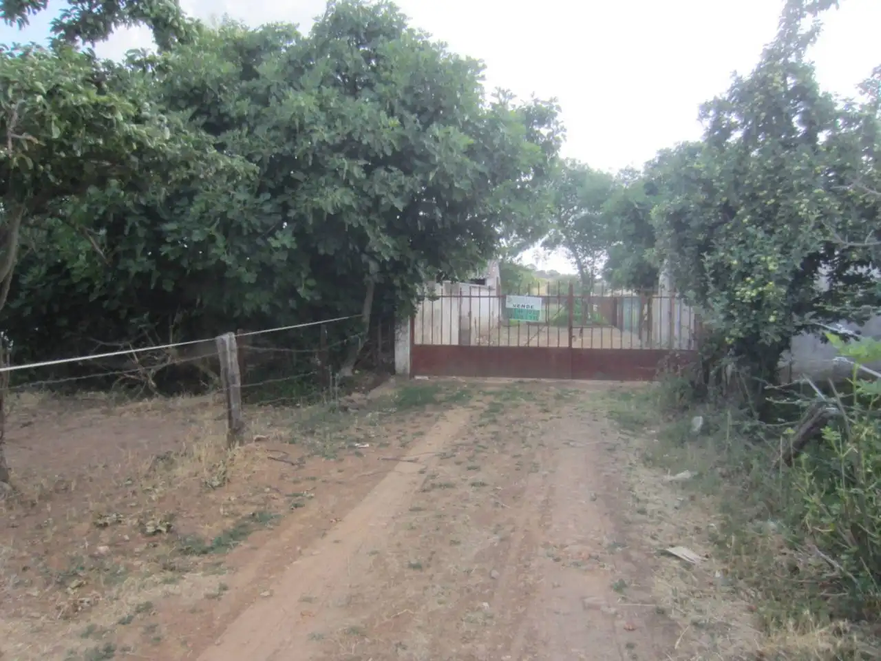 Terreno rustico in vendita a Calle RONDA DEL MEDIODIA, imagen 52
