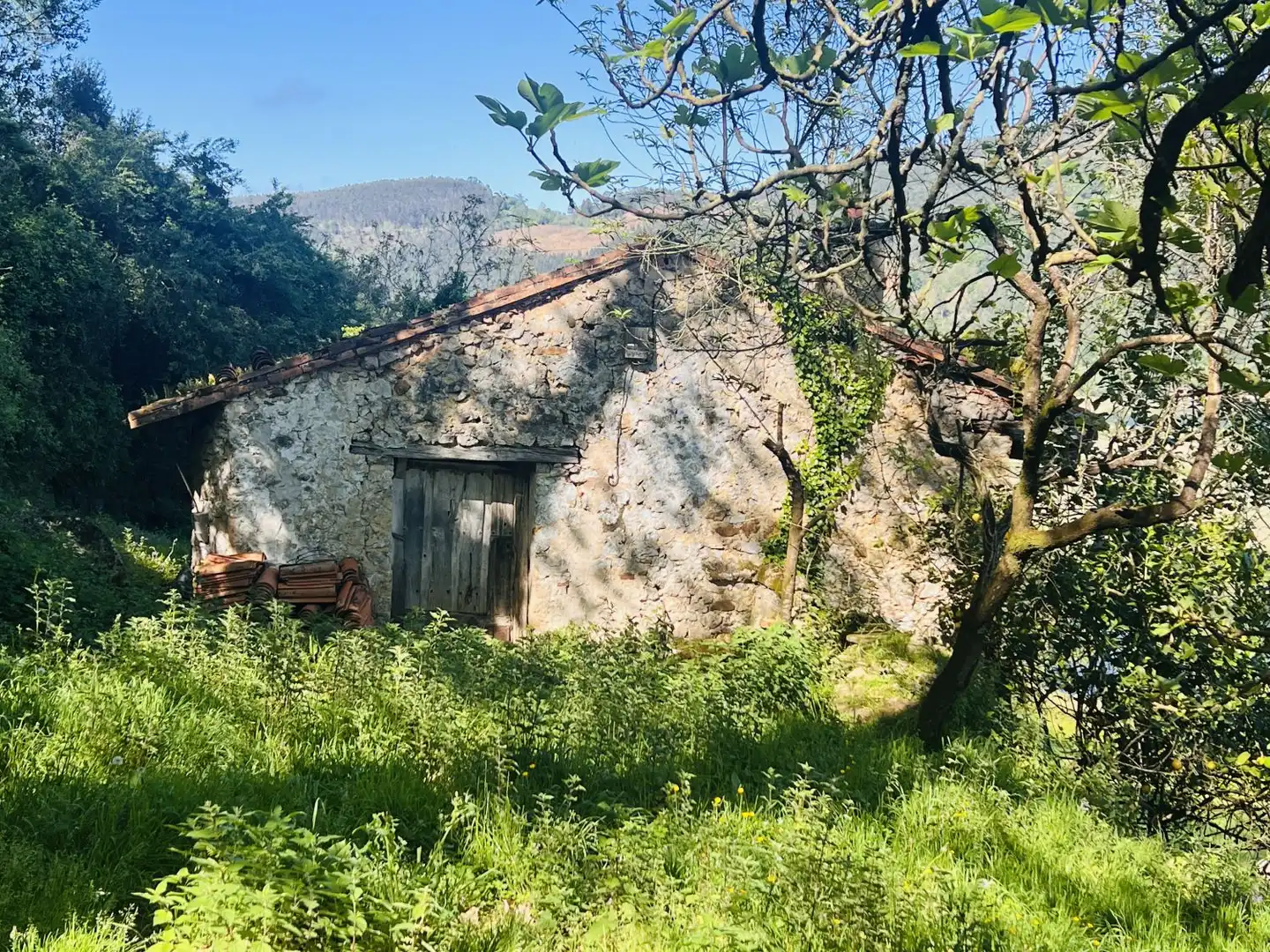 Vista exterior de Casa o chalet en venta en Voto con Terraza, Trastero y Balcón