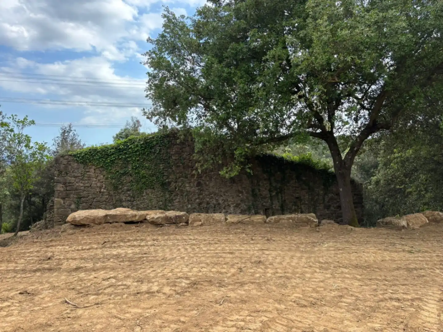 Finca rústica en venta en Palol de Revardit