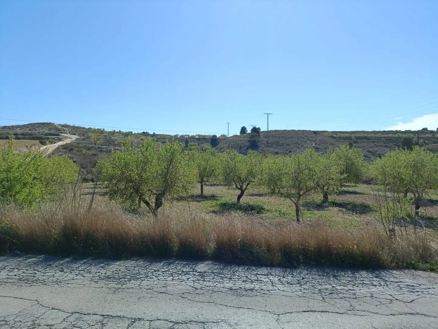 Terreny rústic en venda a Pedanías Oeste, imagen 8