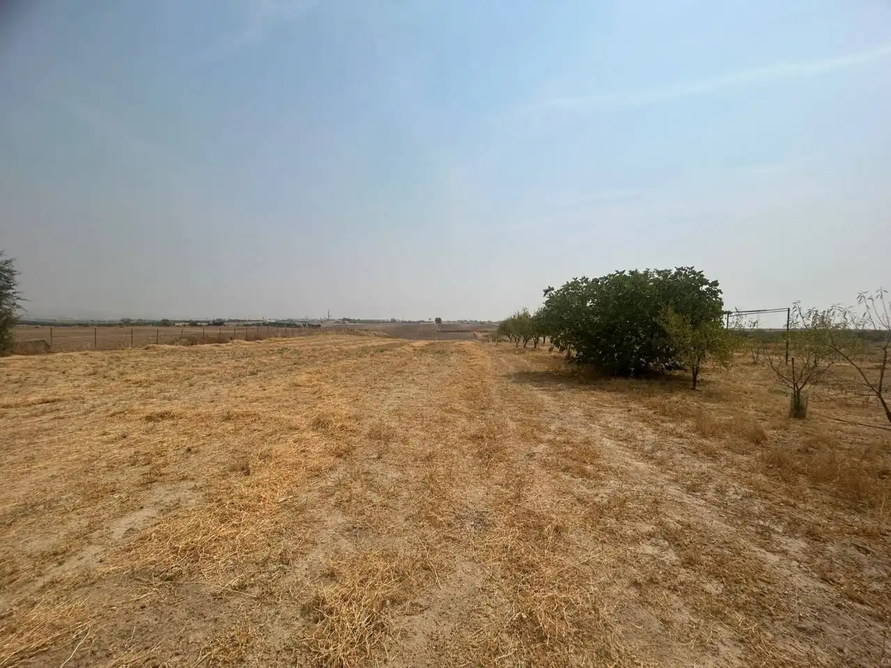 Terreny rústic en venda a 7, imagen 4