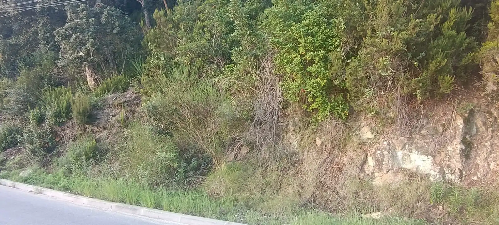 Terreno residencial en venta en Palafolls