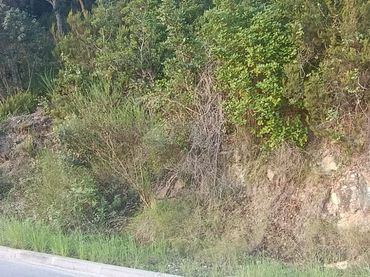 Terreny residencial en venda a Palafolls