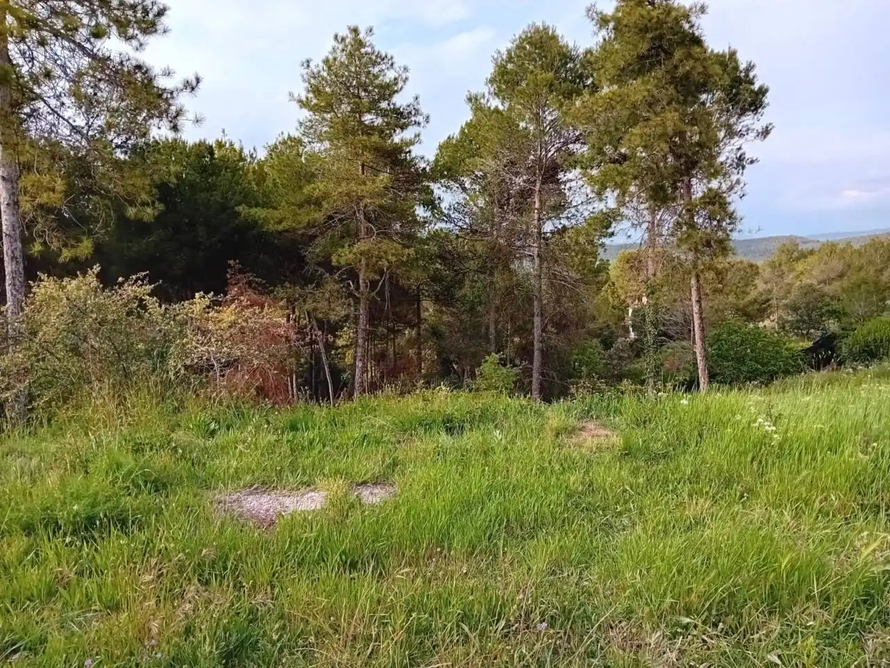 Residencial en venda en Castellnou de Bages