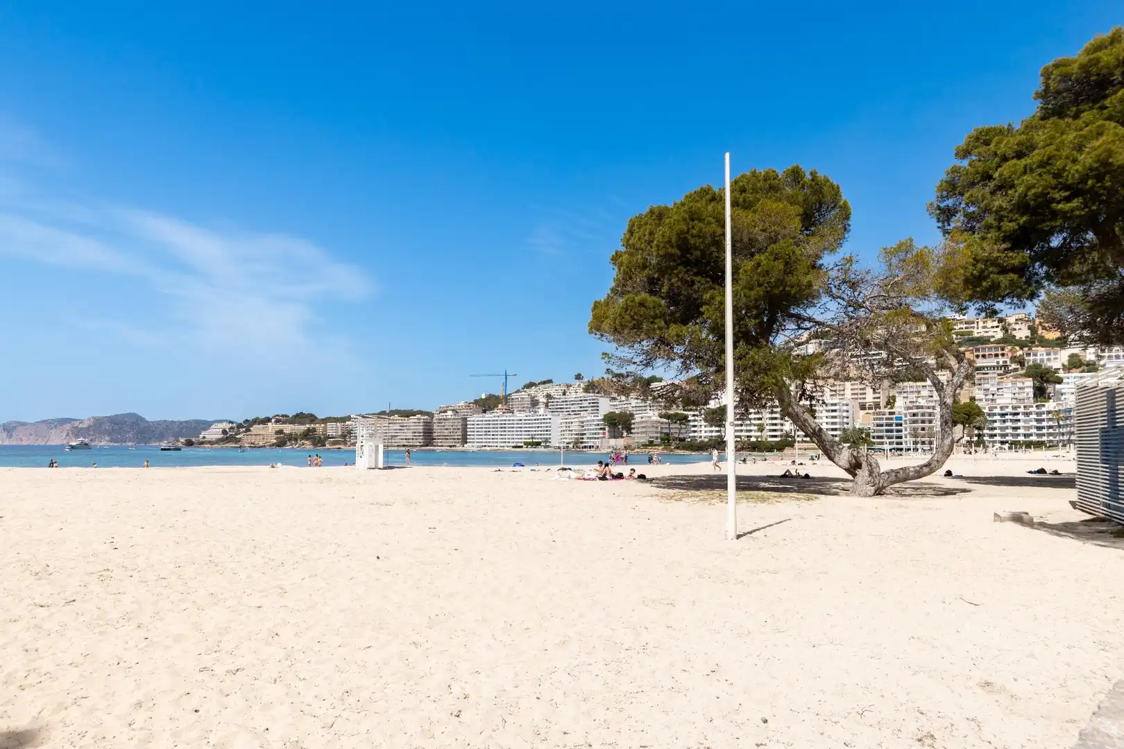 Vista exterior de Piso en venta en Calvià con Terraza, Amueblado y Balcón