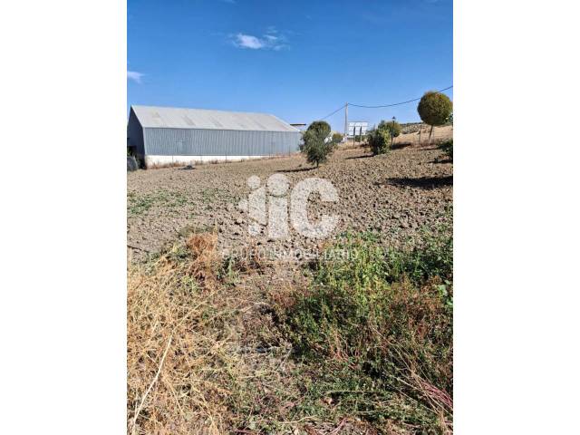 Terreno industrial en Venta en Valenzuela