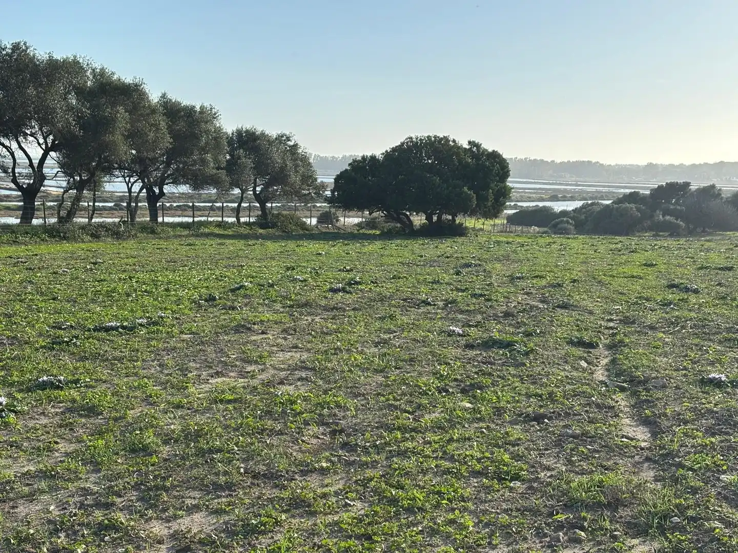 Terreni e lotti in vendita a Vejer, imagen 8