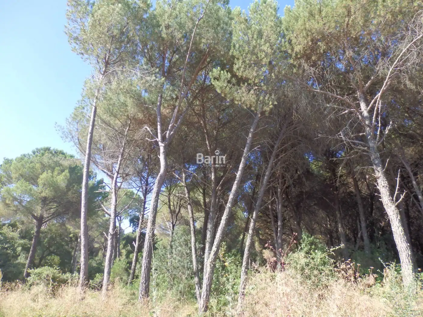 Wohnbaugrundstück zum Verkauf in Periurbano Oeste - Sierra