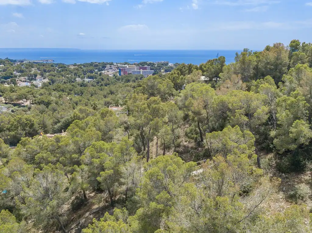 Villa con piscina in vendita a Costa d'en Blanes, imagen 3