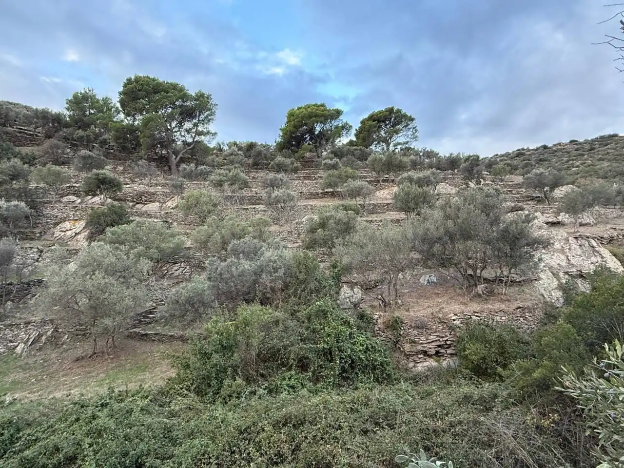 Rural land for sale in Cadaqués, imagen 9