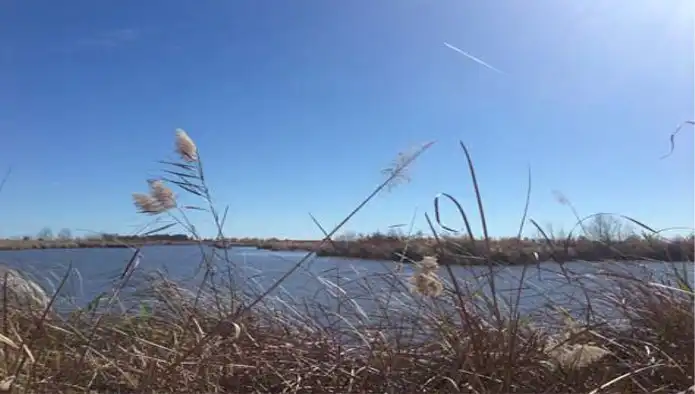 Terreny rústic en venda a Pol Estanys de Almenara, imagen 6