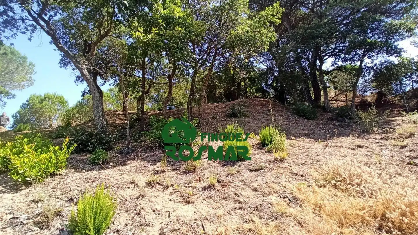 Terrenos y solares en venta en Aiguaviva Parc, imagen 4