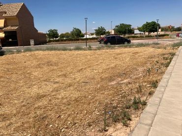 Terreny residencial en venda a Calle Carrion de los Cespedes